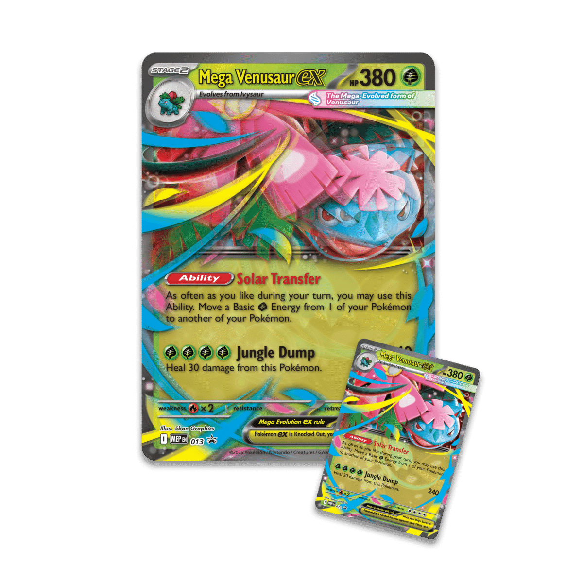 Mega Venusaur EX Box (1 Per Persoon) - Afbeelding 6